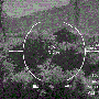 drone.gif