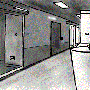 kautava.gif