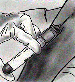 nayte.gif