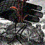 rotta.gif