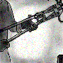 seal.gif