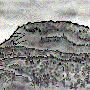 vaara.gif